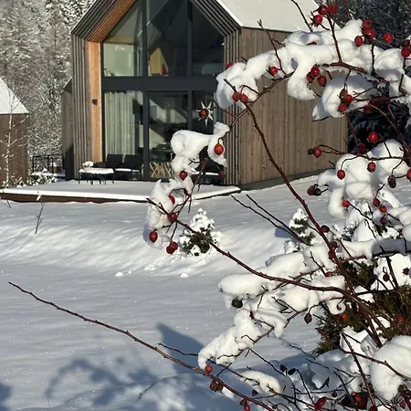 Pod Lasem - Bukowy Stronie Śląskie