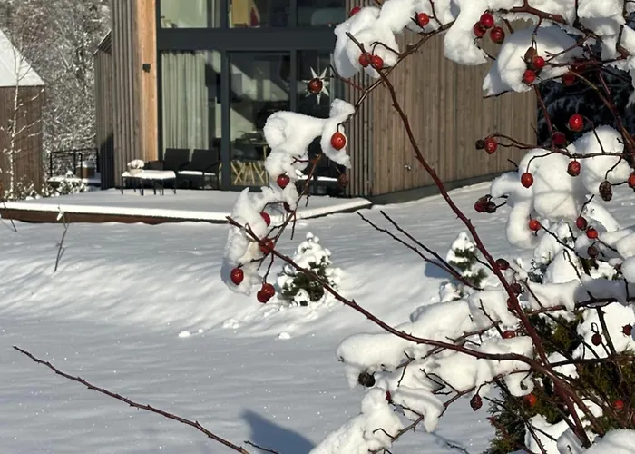 Pod Lasem - Bukowy Stronie Śląskie