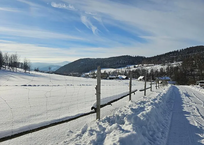Pod Lasem - Bukowy * Stronie Śląskie