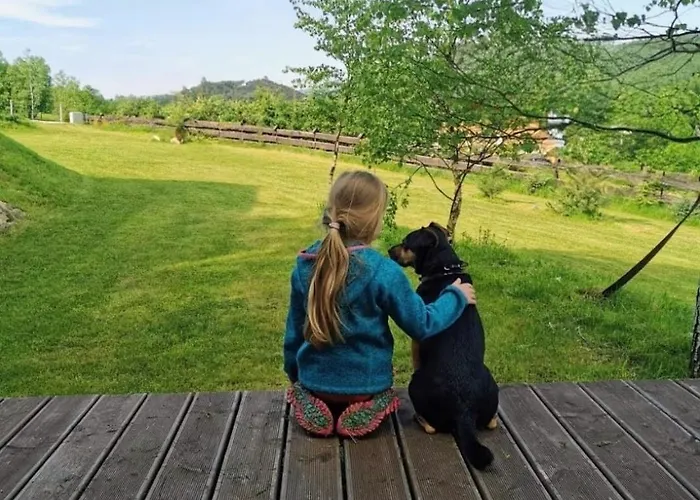 Pod Lasem - Bukowy * Stronie Śląskie