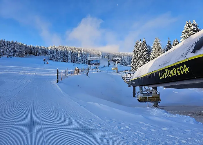 Pod Lasem - Bukowy *